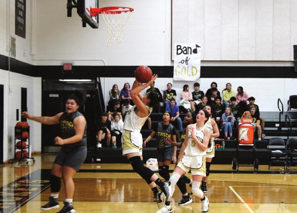 Hannah Olivarri puts in two points just under the basket. Brook DeZavala | Meridian Tribune