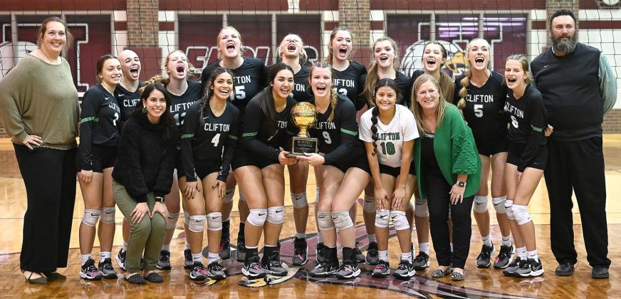 Lady Cubs draw district accolades
